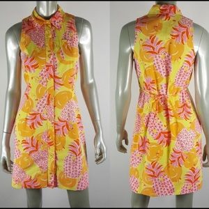 Lilly Pulitzer shirt dress